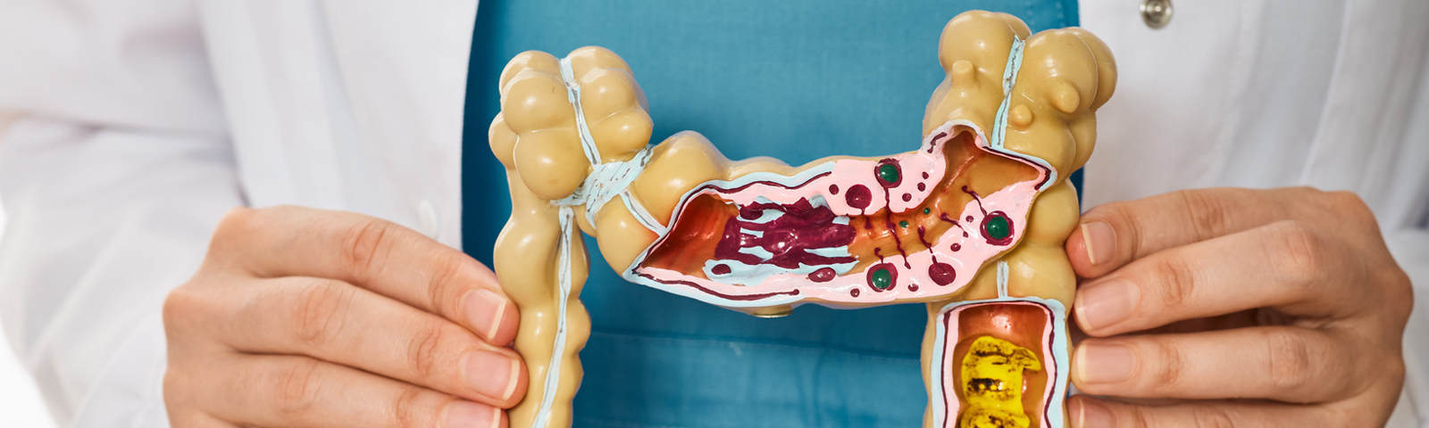 Especialistas en gastroenterología