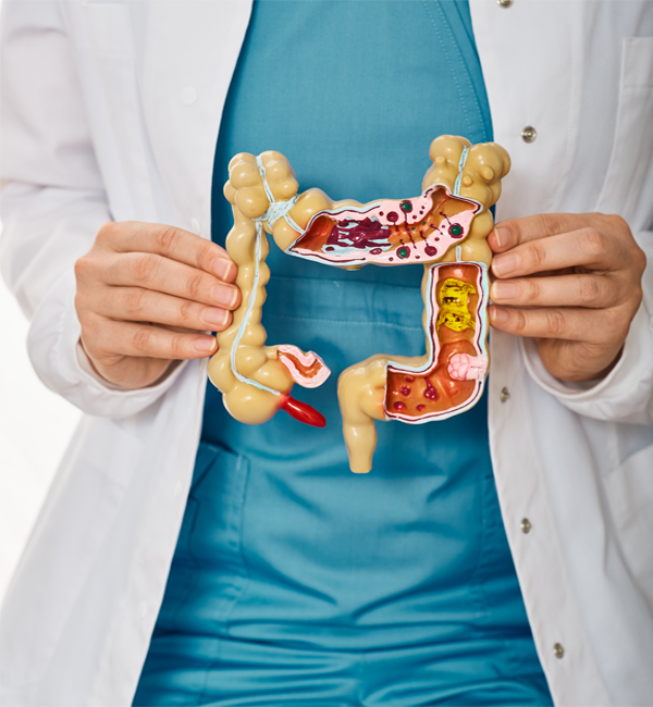 Especialistas en gastroenterología