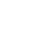 Icono